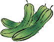 cucumber